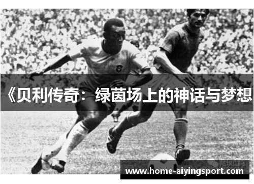 《贝利传奇：绿茵场上的神话与梦想》
