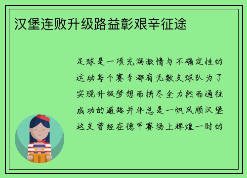 汉堡连败升级路益彰艰辛征途