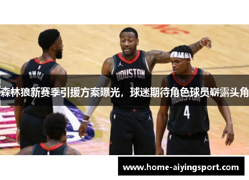 森林狼新赛季引援方案曝光，球迷期待角色球员崭露头角